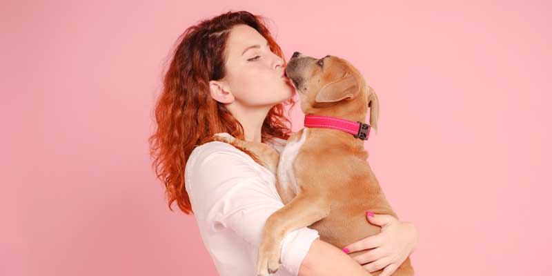 More Female Dog Owners Protect their Dogs from Flea and Ticks by Shopping Dog Flea & Tick Website