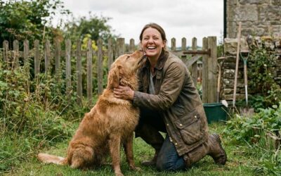 The 8-Month Guard: Is the Seresto Flea & Tick Collar Right for Your Large Dog?